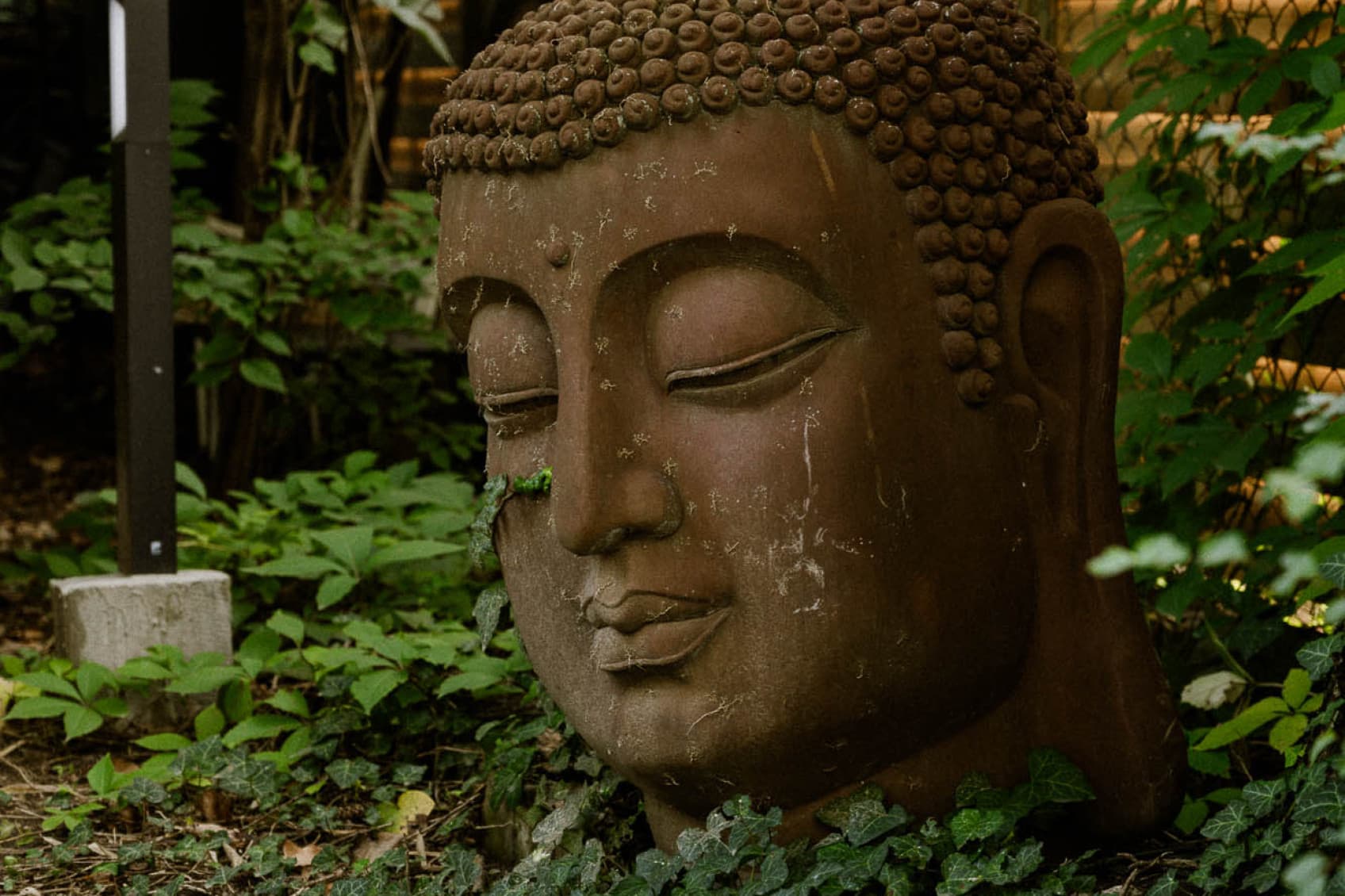 Zu sehen ist die Ruhe des Parks und die Buddha Statue, die den perfekten Rückzugsort nach einem anstrengenden Tag bietet.